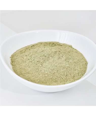 100% polvere d'alga marina guam