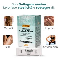 Britannia Collagen+  StickPack