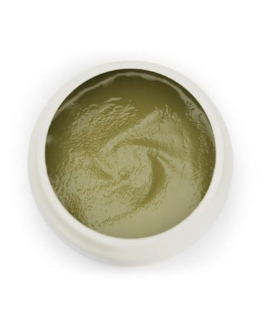 Fanghi d'Alga Guam F.I.R. Fast | Migliora la microcircolazione