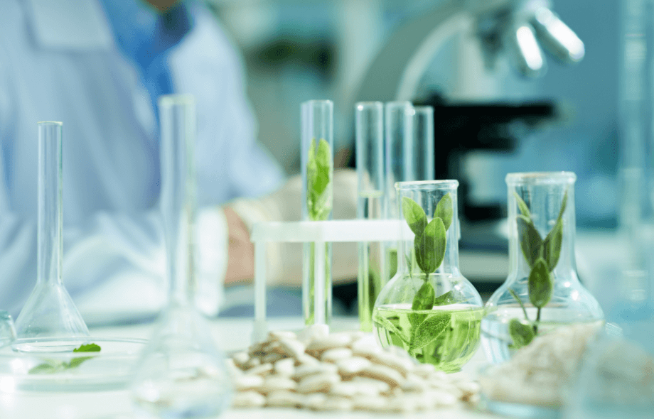 Il mare come laboratorio di vita