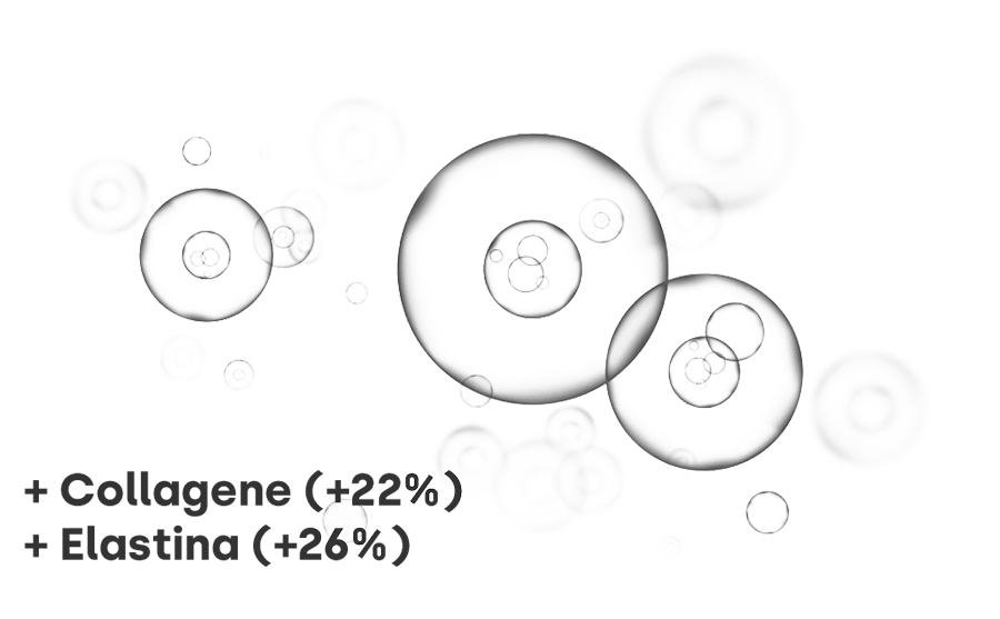 Cellule Staminali