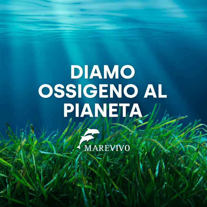 ecosostenibilità