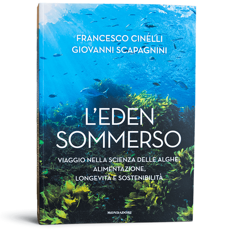 Nuovo Pantadren salino Guam, 💚 Conosci la novità del mondo Guam? 🌸Oggi  ti racconto come funziona il Pantadren salino💧 🌊Con alghe marine Guam  conto la cellulite e sali marini del