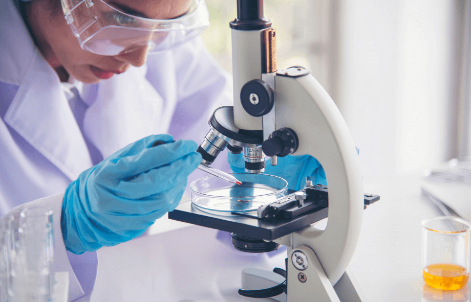 Metabolic Beauty: l’incontro tra scienza e bellezza