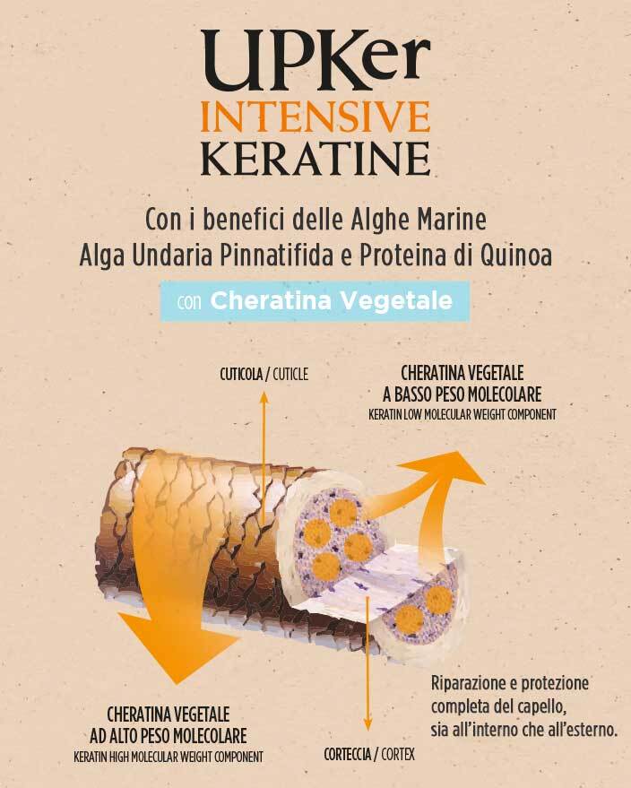 forme_corpo