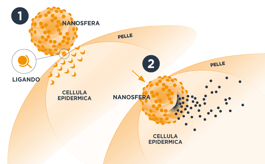 Nanosfere