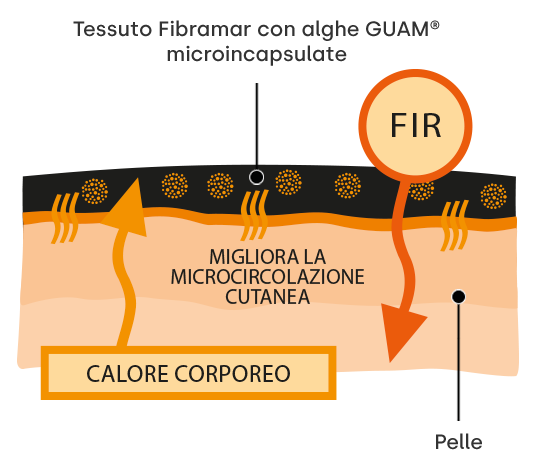 Raggi Fir Guam Anticellulite Migliorare Microcircolazione